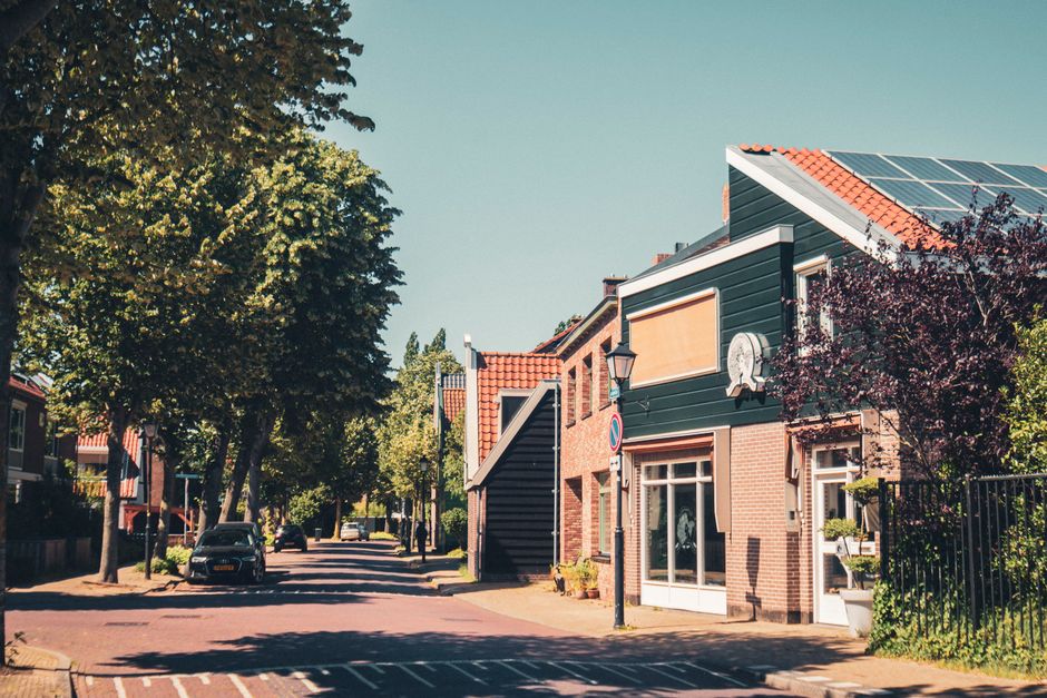 A sunny residential street in Zaandam, showcasing charming architecture and tree-lined avenues.